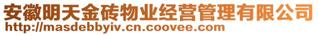 安徽明天金磚物業(yè)經(jīng)營(yíng)管理有限公司