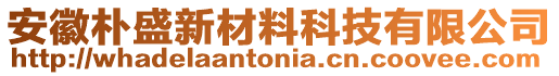 安徽樸盛新材料科技有限公司