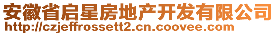 安徽省啟星房地產(chǎn)開發(fā)有限公司