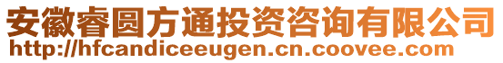 安徽睿圓方通投資咨詢有限公司