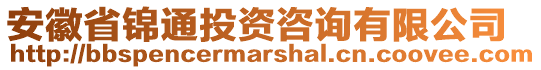 安徽省錦通投資咨詢有限公司