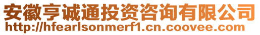 安徽亨誠通投資咨詢有限公司