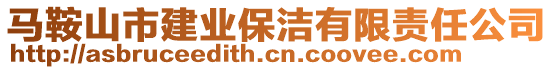 馬鞍山市建業(yè)保潔有限責(zé)任公司