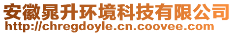 安徽晁升環(huán)境科技有限公司