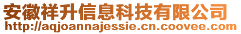 安徽祥升信息科技有限公司