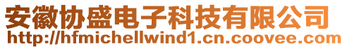 安徽協(xié)盛電子科技有限公司