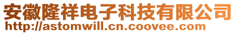 安徽隆祥電子科技有限公司