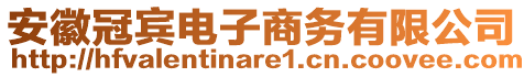 安徽冠賓電子商務(wù)有限公司