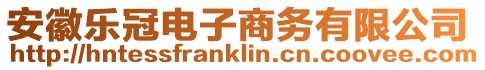 安徽樂冠電子商務(wù)有限公司