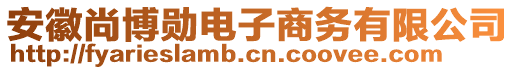 安徽尚博勛電子商務(wù)有限公司