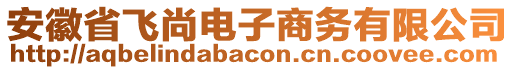 安徽省飛尚電子商務(wù)有限公司