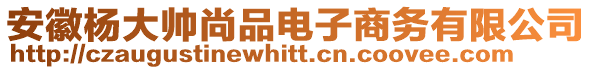 安徽楊大帥尚品電子商務有限公司