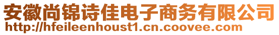 安徽尚錦詩佳電子商務(wù)有限公司