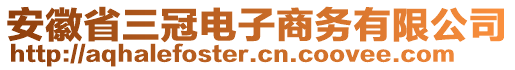 安徽省三冠電子商務(wù)有限公司