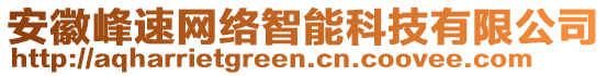 安徽峰速網(wǎng)絡(luò)智能科技有限公司