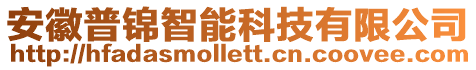 安徽普錦智能科技有限公司