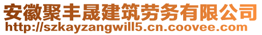 安徽聚豐晟建筑勞務(wù)有限公司