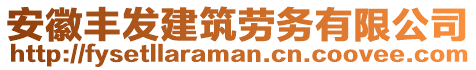 安徽豐發(fā)建筑勞務(wù)有限公司