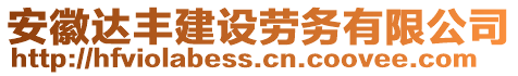 安徽達(dá)豐建設(shè)勞務(wù)有限公司