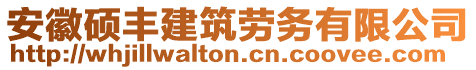 安徽碩豐建筑勞務(wù)有限公司