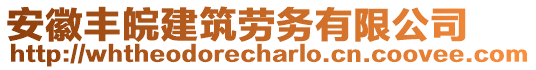 安徽豐皖建筑勞務(wù)有限公司