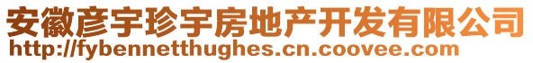 安徽彥宇珍宇房地產(chǎn)開發(fā)有限公司