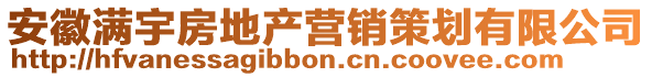 安徽滿宇房地產(chǎn)營(yíng)銷策劃有限公司