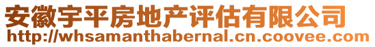 安徽宇平房地產(chǎn)評估有限公司