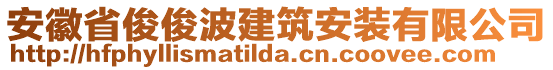 安徽省俊俊波建筑安裝有限公司