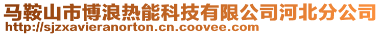 馬鞍山市博浪熱能科技有限公司河北分公司