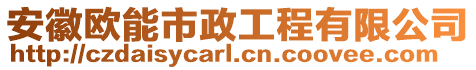安徽歐能市政工程有限公司