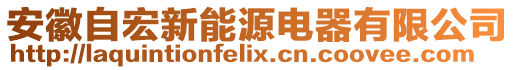 安徽自宏新能源電器有限公司