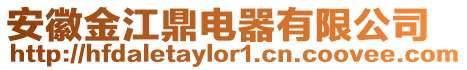安徽金江鼎電器有限公司