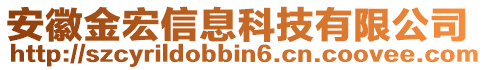 安徽金宏信息科技有限公司