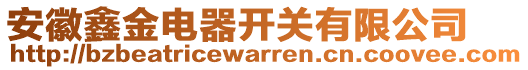 安徽鑫金電器開關有限公司