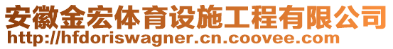 安徽金宏體育設(shè)施工程有限公司