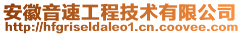 安徽音速工程技術(shù)有限公司