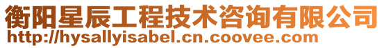 衡陽星辰工程技術咨詢有限公司