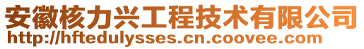 安徽核力興工程技術(shù)有限公司