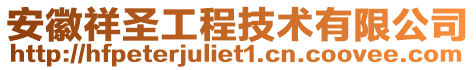 安徽祥圣工程技術有限公司