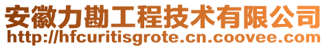 安徽力勘工程技術有限公司