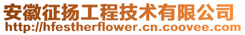 安徽征揚工程技術有限公司