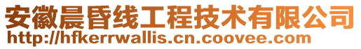 安徽晨昏線工程技術有限公司