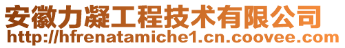 安徽力凝工程技術有限公司