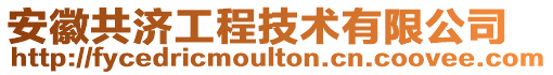 安徽共濟工程技術(shù)有限公司