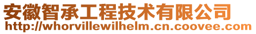 安徽智承工程技術(shù)有限公司