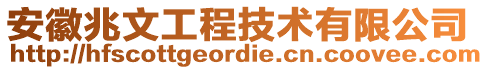 安徽兆文工程技術有限公司