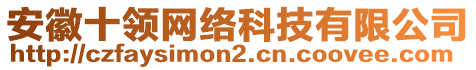 安徽十領網絡科技有限公司