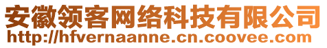 安徽領(lǐng)客網(wǎng)絡(luò)科技有限公司