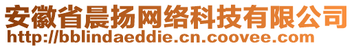 安徽省晨揚網絡科技有限公司